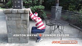Gay Waldo gets stuffed raw and deep in breeding bareback scene
