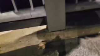 Asian twink gets NAILED in public on Vietnamese bridge