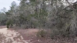Undressing in the woods raw gay solo jerking off hidden in the forest