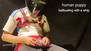 Full Face Helmet Boy Gets Whipped Ballbusting Gushes Cock Cage Chastity