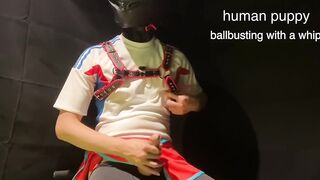 Full Face Helmet Boy Gets Whipped Ballbusting Gushes Cock Cage Chastity