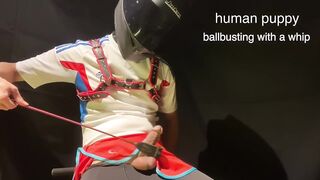 Full Face Helmet Boy Gets Whipped Ballbusting Gushes Cock Cage Chastity