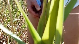 Sticky white briefs hide uncut twink stiff dick as he pisses deep outdoors summer beach