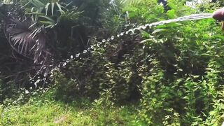 Gay pissing in forest dick flash raw outdoor solo cumshot