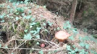 Gay asian twink squirts monster load in mushroom forest
