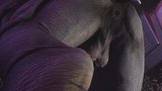 Rhino Fucks Twink Raw Mating Animal Gangbang