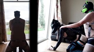 Femboy pup fucked hard against window by pup raw twink breeding