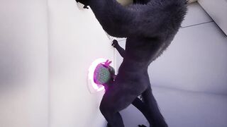 Furry Wolf and Dragon Glory Hole Rough Creampie Gay Animation
