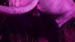 Gay furry synth lovers wild lion wolf cum in mouth orgasm animation