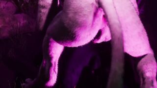 Gay furry synth lovers wild lion wolf cum in mouth orgasm animation