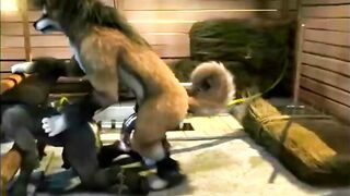 H0rs3 Gay Yiff Compilation massive cock furry cumshot knotting