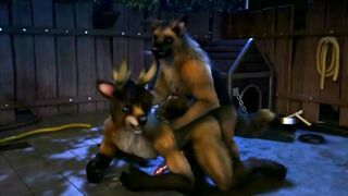 H0rs3 Gay Yiff Compilation massive cock furry cumshot knotting