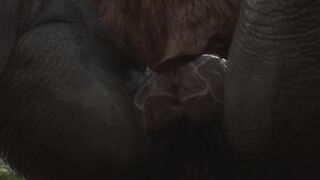 Minotaur Gets Fucked Rough by Rhino Until His Cum Pours Out Thick