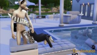 Furry yaoi dog and snow leopard destroyed in pool creampie