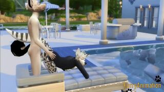 Furry yaoi dog and snow leopard destroyed in pool creampie