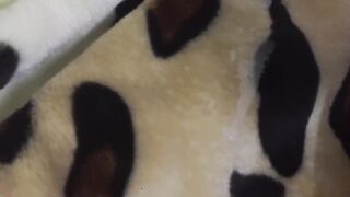 Gushing Cum Tsunami Destroys Soft Gay Fur Mink Blanket