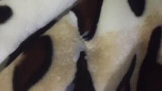 Gushing Cum Tsunami Destroys Soft Gay Fur Mink Blanket