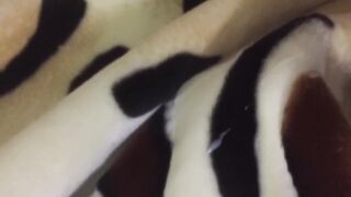 Gushing Cum Tsunami Destroys Soft Gay Fur Mink Blanket