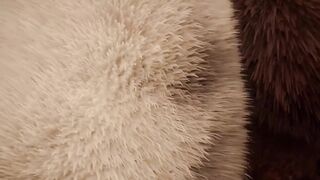 Big Lion Cums Deep Inside Minotaur Grok Raw Furry Gay Rampage