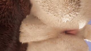 Big Lion Cums Deep Inside Minotaur Grok Raw Furry Gay Rampage