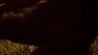 Gay furry minotaur monster fucks guy's ass throat monsterbait wild life
