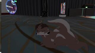 Two otters fuck silly in VR furry convention