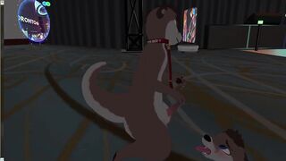 Two otters fuck silly in VR furry convention