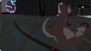 Two otters fuck silly in VR furry convention