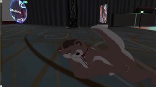 Two otters fuck silly in VR furry convention