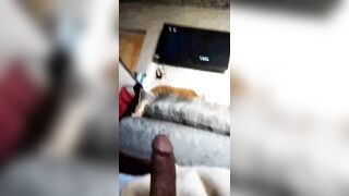 Zab Maroc Big Dick 2016 Asian Gay Anime Pounding Solo Hardcore