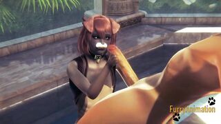 Furry yaoi greyhound handjob to desperate fox 3D hardcore