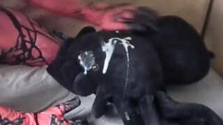 Gay cumshot compilation loud moaning costume masturbating underwear choking on thick loads