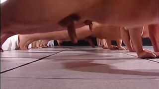 7 Card Studs Hunk Strips Wins Hard Erection Casino Night