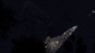 Hot Muscled Sith Lord Destroys Twink Femboy in VR Hentai