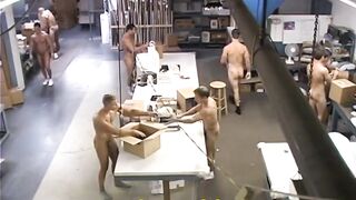 Stockboy stuffs naked big dick packages in factory