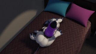 Absol's Big Knot Chokes Furry Feral Solo