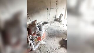 Worker Gets Fucked Raw Under Construction House in Medellín