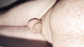 Huge belly bear with flaccid 4 inch dick solo on bed
