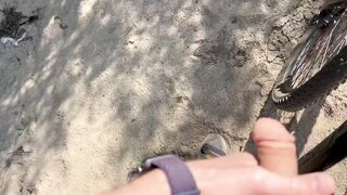 Risky public jerking off in park caught quick cum