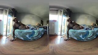 VR 180 8K teasing you on the couch stroking his thick cock raw POV