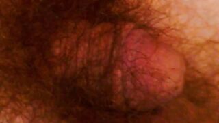 Gay chubby dude getting his bushy balls poked while relaxing solo
