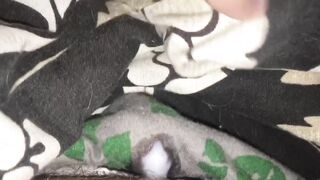 Pulsing cock blasts soaked boxers before bed hands free orgasm