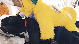 Fruity Fursuit Frottage Jamie Gets Stuffed with Cum