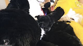 Fruity Fursuit Frottage Jamie Gets Stuffed with Cum