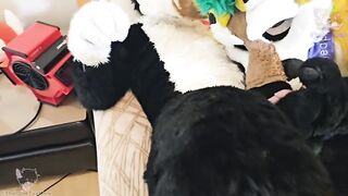 Fruity Fursuit Frottage Jamie Gets Stuffed with Cum