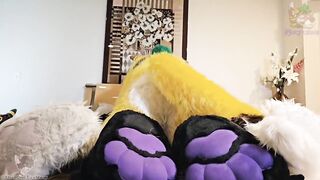 Fruity Fursuit Frottage Jamie Gets Stuffed with Cum