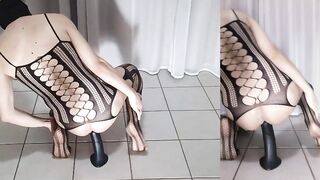 Riding a massive 14 inch horse dick dildo to hands-free cum right on the prostate