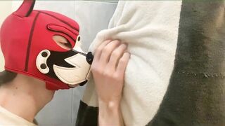 Puppy boy swallowed that big furry cock and got his face wrecked with cum