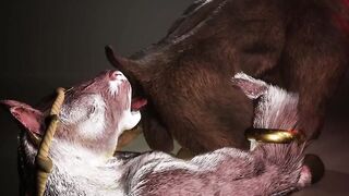 Mino x Horsecock deepthroats that monster cock