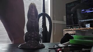 Femboy gamer rides thick dildo while cumming on twitch stream